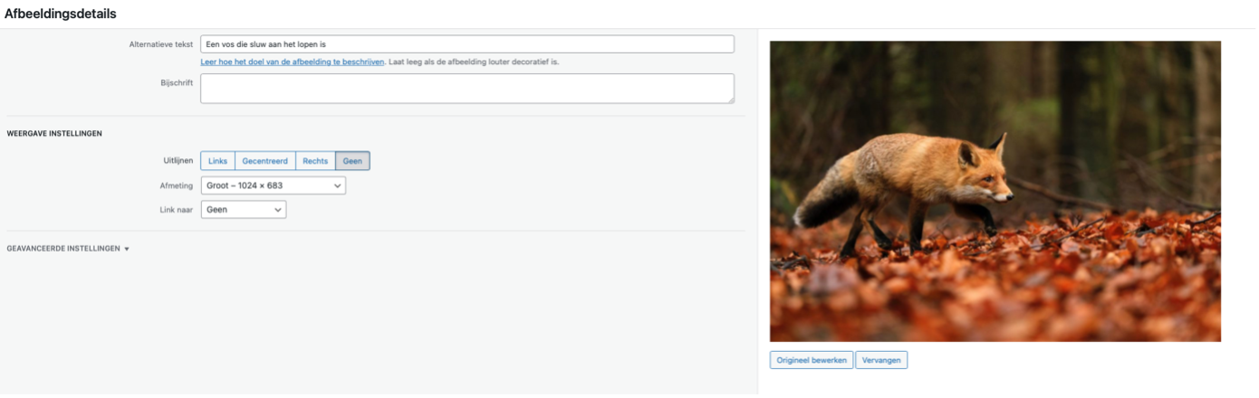 Voorbeeld SEO ALT-tekst bij een afbeelding